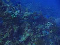 ant07_CB_0034.JPG