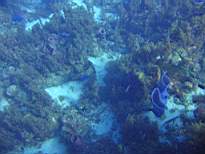ant07_CB_0057.JPG