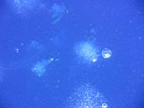 ant07_CB_0089.JPG