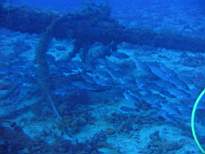 ant07_CB_0098.JPG