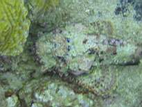 ant07_CB_0206.JPG