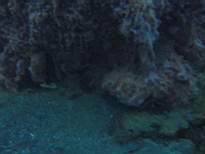 ant07_CB_0236.JPG