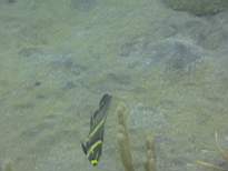 ant07_CB_0247.JPG
