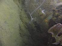 ant07_CB_0255.JPG