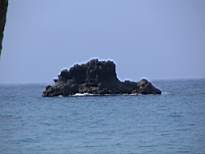 ant07_CB_0693.JPG