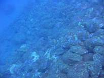 ant07_CB_0852.JPG