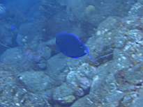 ant07_CB_0857.JPG