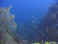 ant07_CB_0869.JPG