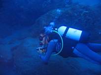 ant07_CB_0940.JPG