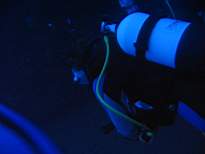 ant07_CB_0943.JPG
