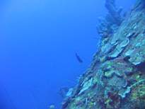 ant07_CB_0946.JPG
