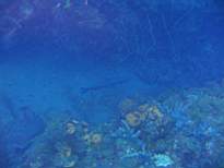 ant07_CB_0947.JPG