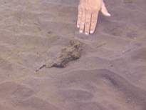 ant07_CB_0964.JPG
