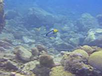 ant07_CB_1001.JPG