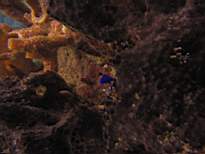 ant07_CB_1041.JPG