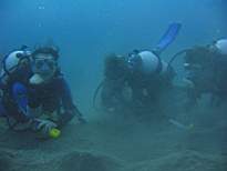 ant07_CB_1124.JPG