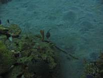 ant07_CB_1128.JPG