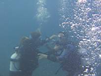 ant07_CB_1136.JPG