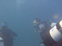 ant07_CB_1137.JPG