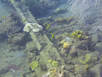 ant07_CB_1226.JPG