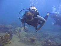 ant07_CB_1233.JPG