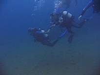 ant07_CB_1241.JPG