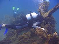 ant07_CB_1248.JPG