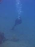 ant07_CB_1251.JPG