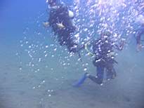 ant07_CB_1261.JPG