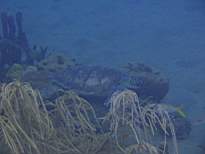 ant07_CB_1287.JPG