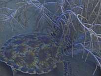 ant07_CB_1307.JPG