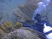 ant07_CB_1312.JPG