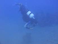 ant07_CB_1319.JPG