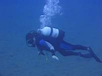 ant07_CB_1326.JPG