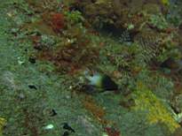 20061126_MA-00004.JPG