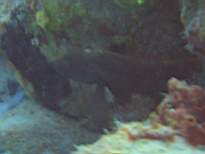20061126_MA-00008.JPG