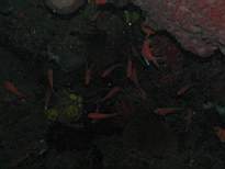 20061126_MA-00011.JPG