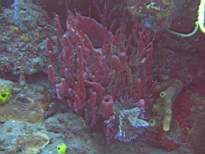 20061126_MA-00013.JPG