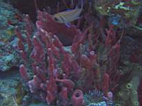 20061126_MA-00014.JPG