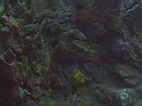 20061126_MA-00016.JPG