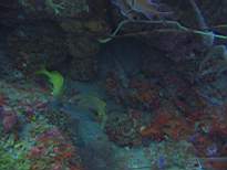 20061126_MA-00021.JPG