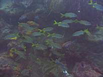 20061126_MA-00024.JPG