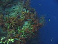 20061126_MA-00027.JPG