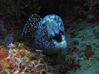 20061126_MA-00032.JPG