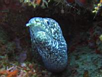 20061126_MA-00033.JPG
