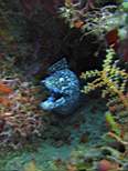 20061126_MA-00034.JPG