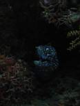 20061126_MA-00035.JPG