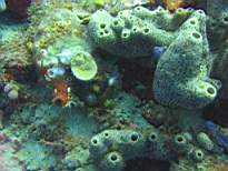 20061126_MA-00039.JPG