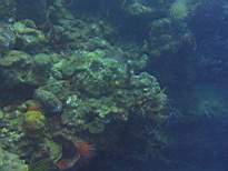 20061126_MA-00041.JPG