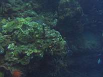 20061126_MA-00042.JPG